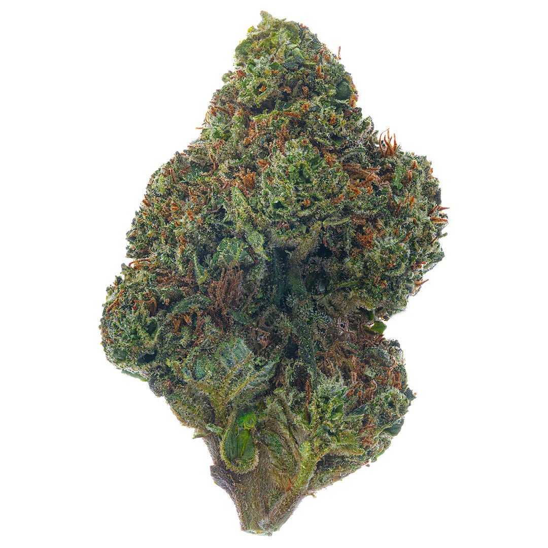 Super Lemon Haze | Sativa