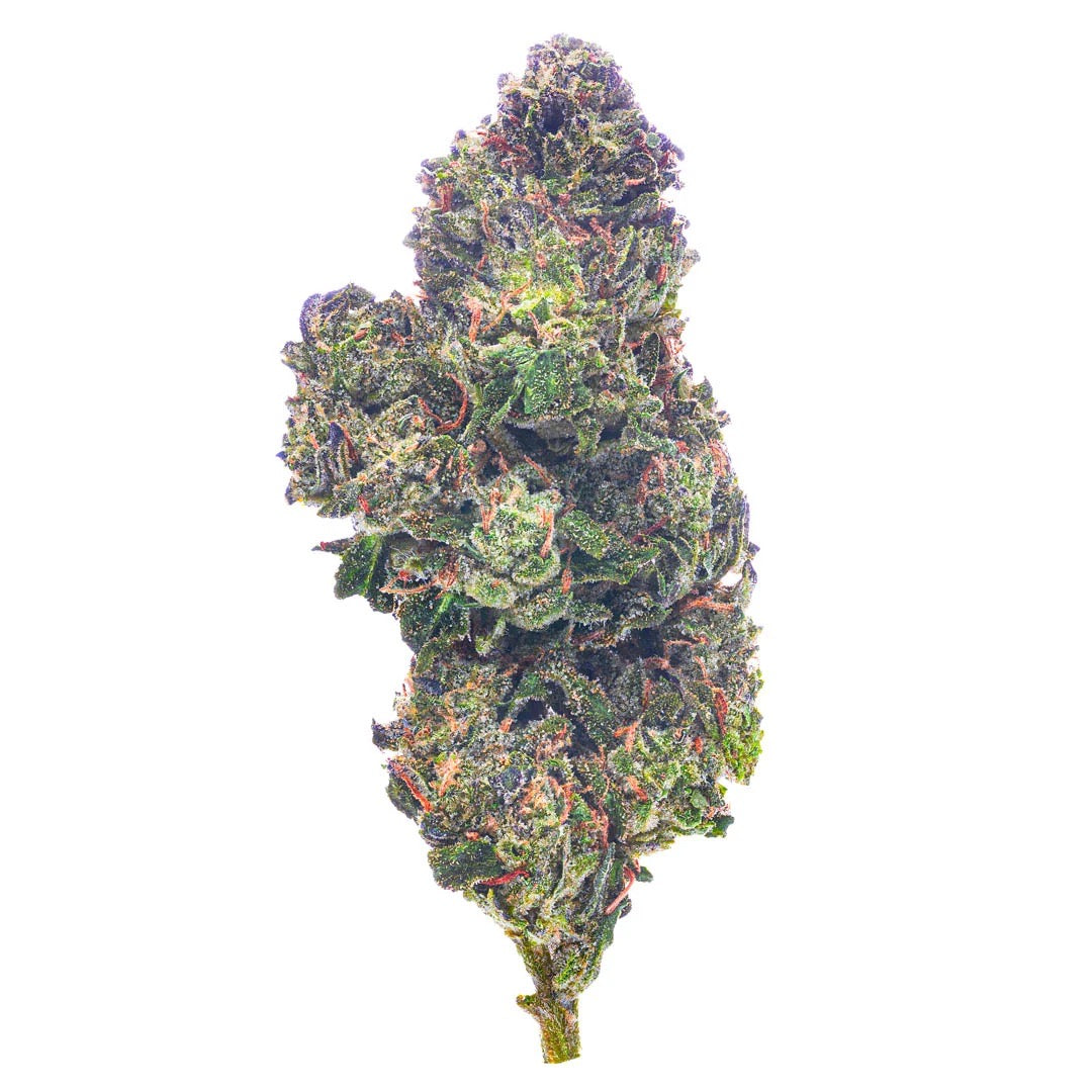 Hashburger | 3G Indica Flower